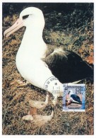 TAAF - Carte Maximum - Banque De Données Démographiques - Ornithologie - Martin De Vivies /St Paul Ams - 1-1-2000 - Lettres & Documents