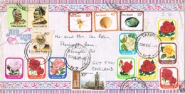20302. Carta Pictorica Aerea TAUPO (New Zealand) 1982. Shell And Flower - Lettres & Documents