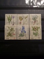 DDR, 1982, Mi: 2691/96 (MNH) - Plantas Tóxicas