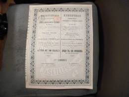 Action " Produits Réfractaires Et Céramiques Du Donetz " Seilles 1897 N°0247. - Russia