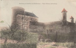 SANDRANS    01    AIN     CPA  COLORISEE  VIEUX CHATEAU - Châtillon-sur-Chalaronne