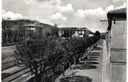 TORRENIERI (SIENA) VIALE PIAVE - ED.LARDORI - VG 1954 FG - C077 - Siena