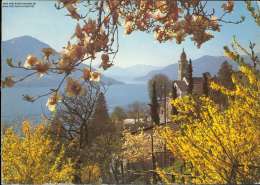 Ronco, Langensee, Kirche, Tessin, 1986 - Ronco Sopra Ascona