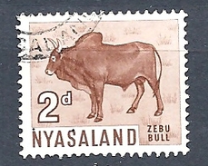 NYASSALAND   1964 Local Motives  USED  ZEBU BULL - Nyasaland (1907-1953)