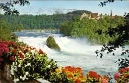 Rheinfall Mit Schloss Laufen, Blumen - Laufen-Uhwiesen 