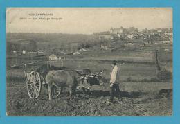 CPA 2065 - Un Attelage Limousin - Boeufs 87 - Other & Unclassified