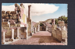 CPSM PF Algerie Tebessa - Ruines Romaines De La Basilique Chretienne  ( COMBIER CIM) - Tebessa