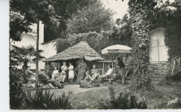 CIBOURE - SAINT JEAN DE LUZ - Hôtel "HELRO BAITA " - Un Coin Exotique Dans Le Parc - Ciboure