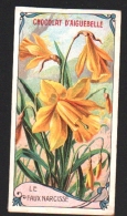 Delcampe - Chromo CHOCOLAT AIGUEBELLE - Le Faux Narcisse - Aiguebelle