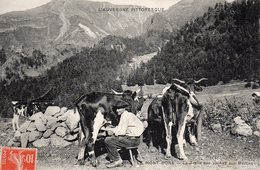 63...PUY DE DOME...LE MONT DORE...LA TRAITE DES VACHES AU BURON.....‹(•¿ - Altri & Non Classificati