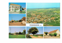 Cpm - 68 - FESSENHEIM - Multivues - Mairie Arbre Centenaire Monument Aux Morts - Fessenheim