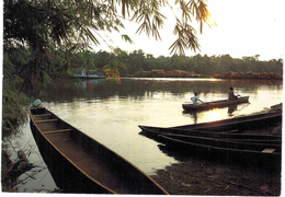 Afrique - Gabon - Soleil Levant Sur Le Rembo Nkomi - Gabon