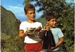 Afrique - Réunion - Enfants De Cilaos - Riunione