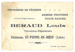 Delcampe - Carte Commerciale Louis Beraud, Viticulteur-Pépiniériste, Chézenas, St Pierre De Boeuf ( Loire ) - Autres & Non Classés