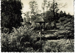 KAPELLEN - HOOGBOOM - Notre-Dame De Grâce - Maison De Repos "Welvaart   Un Coin Du Parc - Kapellen