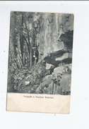 FOOTPATH TO SWALLOW WATERFALL 15      1915 - Afrique Du Sud