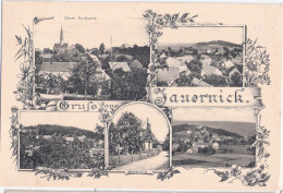 Gruss Aus Jauernick Schlesien Kr Görlitz Vogelschau Waldvilla Jugendstil DEUTSCH OSSIG 16.4.1917 Gelaufen - Goerlitz