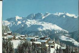 GOLMENEGG 1950m  Bei Riederalp-Wallis _Blinnenhorn - Horn