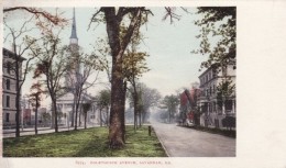 Savannah Georgia, Oglethorpe Avenue Street Scene, Detroit Photographic Co. #6274, C1900s Vintage Postcard - Savannah