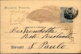 BRÉSIL - Entier Postal Illustré Au Verso Voyagé - A Voir - L 5646 - Postal Stationery