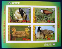 RUSSIE CANARDS, OISEAUX DIVERS, WWF Feuillet émis En 1992, Non Dentelé Et Gommé. Imperf. **. MNH - Canards