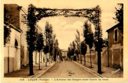 Delcampe - Cpa LUCON 85 L Avenue Des Soupirs Toute Fleurie De Roses - Lucon