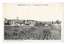 MEURSAULT  (cpa 21)   Vue Générale Et Vignoble -    - L 1 - Meursault