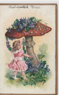 #BV5875 MUSHROOM, FLOWER, GIRL, FAIRY, ILLUSTRATION, POST CARD, 1906, HUNGARY. - Pilze