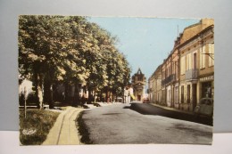 MONTASTRUC-la-CONSEILLERE     --- Avenue Du Général  De  Castelnau   - ( Pas De Reflet Sur L'original ) - Montastruc-la-Conseillère