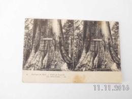 Vallée De Yosemite. (stereo Card.) - Yosemite