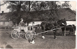 Rittergut OSSOWO Posen Osowo Oberinspektor Fanele In Einspänner Kutsche Jagdhund Stallgebäude Original Private Fotokarte - Posen