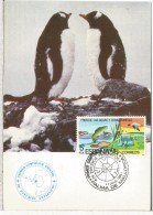 PALMA MALLORCA TARJETA CON MAT PRIMER SYMPOSIUM DE ESTUDIOS ANTARTICOS POLO SUR SOUTH POLE - Expediciones Antárticas