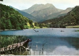 74. CPM. Haute Savoie. Bellevaux. Le Lac Et Le Roc D'Enfer - Bellevaux