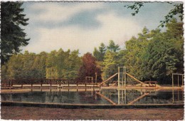 Apeldoorn - Zwembad Berg En Bos - 1960 -  (Gelderland/Nederland) - Apeldoorn