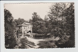 BUSSIERE POITEVINE - HAUTE VIENNE - LE MOULIN BERGER ET LA GARTEMPE - Bussiere Poitevine