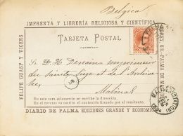 217 SOBRE 1894. 10 Cts Castaño. Tarjeta Postal Comercial "Felipe Guasp Y Vicens" De PALMA DE MALLORCA A MALINAS ( - Unused Stamps