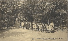 Diest.  -   Diesterweg's Schoolkolonie Te Heide - Diest