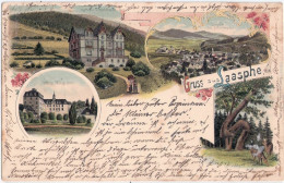 Gruss Aus LAASPHE Kr Siegen Wittgenstein Color Litho Kurhaus G Kohlstaedt 16.10.1901 Gelaufen - Arnsberg