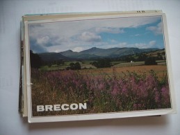 Wales Brecon Nice - Breconshire