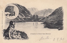 10816-L'HOSPICE DU GRAND SAINT-BERNARD-CANI S.BERNARDO-1903-FP - Bourg-Saint-Pierre 