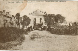 Champtoceaux - La Hamelinière (XV Siècle) Entrée De La Cour D' Honneur - Champtoceaux