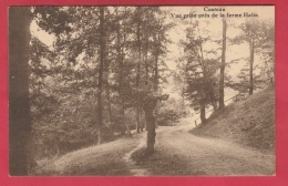 Casteau - Vue Prise Près De La Ferme Halin ( Voir Verso ) - Soignies