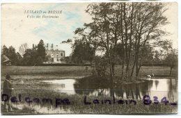 - LESSARD-en-BRESSE - ( S.-et-L. ), Villa Des Hortensias, Carte Fine, Promeneur, écrite, BE, Scans. - Altri & Non Classificati