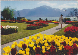 SUISSE,SCHWEIZ,SVIZZERA,SWITZERLAND,HELVETIA,SWISS ,VAUD,MONTREUX,fleurs,tulipes - Montreux