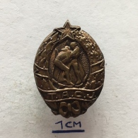 Badge Pin ZN004130 - Wrestling Athletics Federation Of Yugoslavia (Teskoatletski Savez Jugoslavije) TACJ (TASJ) - Lucha