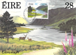 IRLANDE CARTE MAXIMUM NUM YVERT  676 PARCS ET JARDINS - Cartoline Maximum