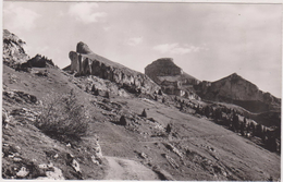 CARTE PHOTO TRUMPLER LEYSIN,SUISSE,SCHWEIZ,SVIZZERA,SWITZERLAND,HELVETIA,SWISS ,VAUD,ALPES VAUDOISES,TOUR D'AI,MAYEN - Leysin