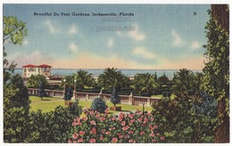 JACKSONVILLE  FL, BEAUTIFUL DU PONT GARDENS, 1950s Vintage Florida Postcard [6320] - Jacksonville