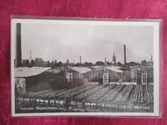 AELSMEER . BLOEMENKASSEN . CARTE PHOTO - Aalsmeer