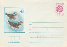#BV6086 GOOSE, BIRD, ANIMAL, PLOVDIV EXPO, COVER STATIONERY, 1981, BULGARIA. - Ganzen